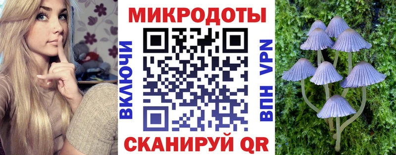 Галлюциногенные грибы GOLDEN TEACHER  Купить  Мелеуз 